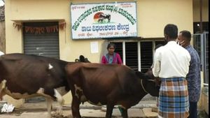 ರಾಮನಗರ; ಹೈನುಗಾರಿಕೆಗೆ ಮಾರಕವಾದ ಕಾಲುಬಾಯಿ ಜ್ವರ 
