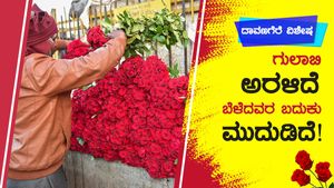 ಗುಲಾಬಿ ಹೂ ಅರಳಿತು, ಬೆಳೆದವರ ಬದುಕು ಬರಡಾಯ್ತು! 
