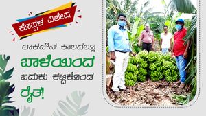 ಬಾಳೆ ಬೆಳೆದು ಬದುಕು ಕಟ್ಟಿಕೊಂಡ ಕೊಪ್ಪಳದ ರೈತ! 