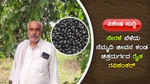  ವಿಶೇಷ ಸುದ್ದಿ: ನೇರಳೆ ಬೆಳೆದು ನೆಮ್ಮದಿ ಜೀವನ ಕಂಡ ಚಿತ್ರದುರ್ಗದ ರೈತ ರವಿಶಂಕರ್ 