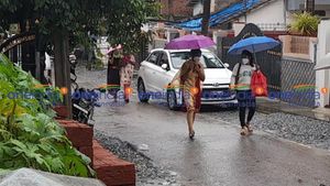 ಶಿವಮೊಗ್ಗ ಜಿಲ್ಲೆಯಾದ್ಯಂತ ಮಳೆಯಬ್ಬರ: ಕೃಷಿ ಚಟುವಟಿಕೆ ಚುರುಕು