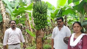 ಕಬ್ಬಿನ ನಾಡಲ್ಲಿ 110 ಟನ್ ಬಾಳೆ ಬೆಳೆದು ಲಾಭಗಳಿಸಿದ ರೈತ! 