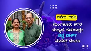 ಪತಂಗ ಪ್ರೇಮದಿಂದ ನಗರ ಮಧ್ಯದ ಮನೆಯಲ್ಲೇ ಚಿಟ್ಟೆ ಪಾರ್ಕ್ ಮಾಡಿದ ದಂಪತಿ