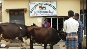 ಸರ್ಕಾರದ ನಿರ್ಲಕ್ಷ್ಯ; ರಾಮನಗರದಲ್ಲಿ 26 ಹಸುಗಳು ಬಲಿ