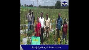 ವಿಡಿಯೋ: ಕೆಲಸಕ್ಕೆ ಬೈ ಹೇಳಿ ಕೃಷಿಯಲ್ಲಿ ಸಾಮ್ರಾಜ್ಯ ಕಟ್ಟಿಕೊಂಡ ಪ್ರಿನ್ಸಿಪಾಲ್ ದಂಪತಿ