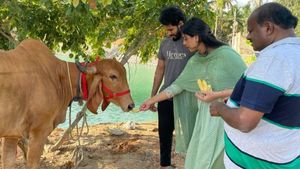  'ನಿಮ್ಮ ಮನೆಯ ಮಗ' ಕುಮಾರಸ್ವಾಮಿ ಸಾರ್ವಜನಿಕರಿಗೆ ನೀಡಿದ ಮುಕ್ತ ಅವಕಾಶ