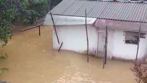ಕೊಡಗು; ಮಳೆ, ಗಾಳಿಗೆ ಇದುವರೆಗೆ 52.39 ಕೋಟಿ ರೂ. ನಷ್ಟ 