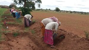 ಕಾರ್ಮಿಕರಿಗೆ ನೆರವಾದ ನರೇಗಾ; ರೈತನ ಮೊಗದಲ್ಲೂ ನಗು 