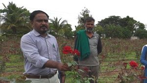 ನರೇಗಾ ನೆರವಿನಲ್ಲಿ ಗುಲಾಬಿ ಬೆಳೆದು ಲಾಭಗಳಿಸಿದ ರೈತ 