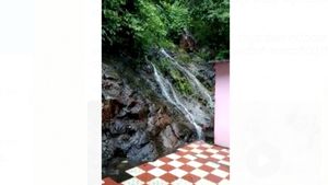ದಾವಣಗೆರೆ: ದಕ್ಷಿಣ ಕಾಶಿ ತೀರ್ಥರಾಮೇಶ್ವರದಲ್ಲಿ ಫಾಲ್ಸ್‌ಗಳ ಸೊಬಗು!