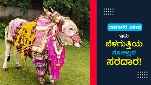ವಿಶೇಷ ವರದಿ; ಸೋಲಿಲ್ಲದ ಸರದಾರ 'ಬೆಳಗುತ್ತಿಯ ಡಾನ್' 