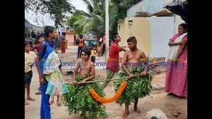  ಮಳೆಗಾಗಿ ಪ್ರಾರ್ಥಿಸಿ ಹರಪನಹಳ್ಳಿ ತಾಲೂಕಿನಲ್ಲಿ ಕಪ್ಪೆಗಳಿಗೆ ಅದ್ಧೂರಿ ಮದುವೆ  
