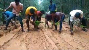 ಗೃಹ ಸಚಿವರ ತವರಲ್ಲಿ ರಸ್ತೆಯಲ್ಲೇ ಭತ್ತ ನಾಟಿ; ಗೋಳು ಕೇಳೋರಿಲ್ಲ 
