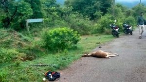 Breaking; ಮಂಡ್ಯದಲ್ಲಿ ಜಿಂಕೆ ಬೇಟೆಯಾಡುತ್ತಿದ್ದವರಿಗೆ ಗುಂಡೇಟು! 