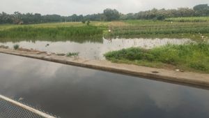 ಬೆಂಗಳೂರು-ಮೈಸೂರು ರಸ್ತೆ ಕಾಮಗಾರಿ; ರೈತರ ಬೆಳೆ ನಾಶ 