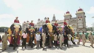 ಮೈಸೂರು ದಸರಾ: ಐತಿಹಾಸಿಕ ಜಂಬೂಸವಾರಿಗೆ ಕ್ಷಣಗಣನೆ