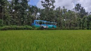 ಮಂಗಳೂರು; ಹೆದ್ದಾರಿಗೆ ಭೂಸ್ವಾಧೀನ, ರೈತರು ಕೋರ್ಟ್‌ಗೆ 