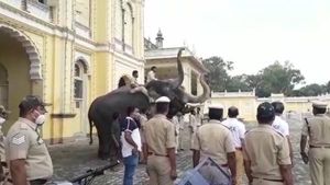 ಮೈಸೂರಿನೆಲ್ಲೆಡೆ ಕಳೆಕಟ್ಟಿದ ದಸರಾ ಸಂಭ್ರಮ: ಆನೆಗಳಿಗೆ ಜಂಬೂಸವಾರಿ ತಾಲೀಮು