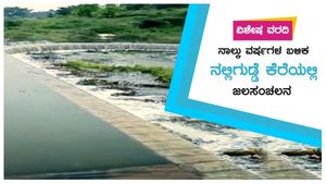  ರಾಮನಗರ: ನಾಲ್ಕು ವರ್ಷಗಳ ಬಳಿಕ ನಲ್ಲಿಗುಡ್ಡೆ ಕೆರೆಯಲ್ಲಿ ಜಲಸಂಚಲನ
