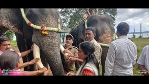 ಶಿವಮೊಗ್ಗ; ಜಂಬೂ ಸವಾರಿಗೆ 2 ಆನೆ, ತಾಲೀಮು ಇಲ್ಲದೆ ಅಖಾಡಕ್ಕೆ 
