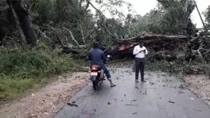 ವಿಡಿಯೋ; ಹಾಸನದಲ್ಲಿ ಮಳೆ ಅಬ್ಬರ, ರಸ್ತೆ ಸಂಚಾರ ಬಂದ್