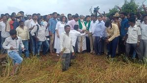 ಚಿಕ್ಕಬಳ್ಳಾಪುರ; ಮಳೆಯಿಂದ ಆದ ಬೆಳೆ ಹಾನಿ ವೀಕ್ಷಿಸಿದ ಸಿದ್ದರಾಮಯ್ಯ 