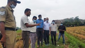 ಕೊಪ್ಪಳ; ಮಳೆಗೆ ಬೆಳೆ ಹಾನಿ, ವರದಿ ನೀಡಲು ಡಿಸಿ ಸೂಚನೆ 