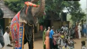 ವಿಡಿಯೋ; ಶಾಲೆ ಆರಂಭ, ವಿದ್ಯಾರ್ಥಿಗಳಿಗೆ ಸ್ವಾಗತ ಕೋರಿದ ಆನೆ 