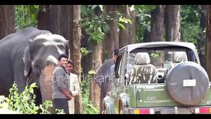 ಶಿವಮೊಗ್ಗದಲ್ಲಿ ಪುನೀತ್ ರಾಜಕುಮಾರ್ ಮುದ್ದಾಡಿದ್ದ ಆನೆಗೆ ಪುನೀತ್ ಹೆಸರು ನಾಮಕರಣ