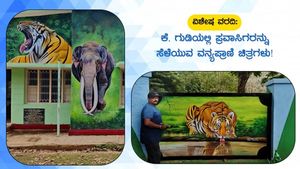 ವಿಶೇಷ ವರದಿ: ಕೆ.ಗುಡಿಯಲ್ಲಿ ಪ್ರವಾಸಿಗರನ್ನು ಸೆಳೆಯುವ ವನ್ಯಪ್ರಾಣಿ ಚಿತ್ರಗಳು!