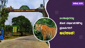 ವಿಶೇಷ ವರದಿ: ಬಂಡೀಪುರದಲ್ಲಿ ಹೊಸ ವರ್ಷಾಚರಣೆಗಿಲ್ಲ ಪ್ರವಾಸಿಗರಿಗೆ ಅವಕಾಶ!