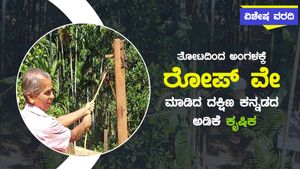  ದಕ್ಷಿಣ ಕನ್ನಡ: ತೋಟದಿಂದ ಅಂಗಳಕ್ಕೆ ರೋಪ್‌ವೇ ಮಾಡಿದ ಅಡಿಕೆ ಕೃಷಿಕ