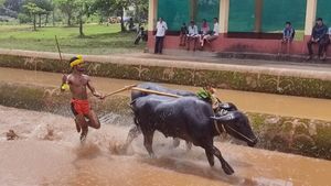 ಮಂಗಳೂರು: ಕಂಬಳದಲ್ಲೂ ನುಸುಳಿದ ರಾಜಕೀಯ; ಅಧ್ಯಕ್ಷ ಪಟ್ಟಕ್ಕಾಗಿ ಕಾಂಗ್ರೆಸ್- ಬಿಜೆಪಿ ಫೈಟ್!