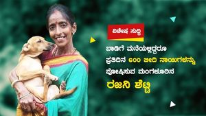 ಮಂಗಳೂರು: ಬಾಡಿಗೆ ಮನೆಯಲ್ಲಿದ್ದರೂ ಪ್ರತಿದಿನ 600 ಬೀದಿ ನಾಯಿಗಳನ್ನು ಪೋಷಿಸುವ ರಜನಿ ಶೆಟ್ಟಿ