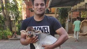 ಗೋವು ಸಾಕಿ, ಕರುವಿಗೆ 'ಅಪ್ಪು' ಎಂದು ಹೆಸರಿಟ್ಟ ಮಂಗಳೂರು ಆಯುಕ್ತರು 