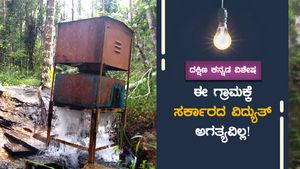 ಸರ್ಕಾರದಿಂದ ವಿದ್ಯುತ್ ಪಡೆಯದೇ ಸ್ವಾವಲಂಬಿಯಾದ ಗ್ರಾಮಸ್ಥರು!