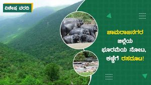 ವಿಶೇಷ ವರದಿ: ಚಾಮರಾಜನಗರ ಜಿಲ್ಲೆಯ ಭೂರಮೆಯ ನೋಟ, ಕಣ್ಣಿಗೆ ರಸದೂಟ!