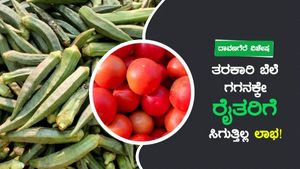 ಗಗನಕ್ಕೇರುತ್ತಿದೆ ತರಕಾರಿ ಬೆಲೆ, ಗ್ರಾಹಕರ ಜೇಬಿಗೆ ಬೀಳುತ್ತಿದೆ ಕತ್ತರಿ