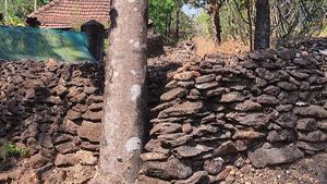 ಅಜ್ಜಿಯ ಸಾಹಸ; ಎಕರೆ ಜಾಗಕ್ಕೆ ಏಕಾಂಗಿಯಾಗಿ ಕಲ್ಲಿನ ಕೋಟೆ ನಿರ್ಮಾಣ 