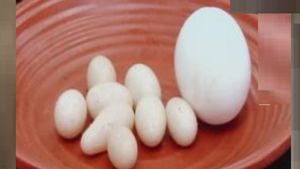 ಕೇರಳ: ವಿಚಿತ್ರ ಗಾತ್ರದಲ್ಲಿ ಮೊಟ್ಟೆ ಇಡುವ ಕೋಳಿ 