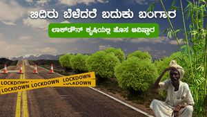 ಅರ್ಜಿ ಸಲ್ಲಿಸಿ 18,000 ಪಡೆಯಿರಿ: 3 ವರ್ಷ ಬಿದಿರು ಬೆಳೆದು 80 ವರ್ಷ ಲಾಭ ಗಳಿಸಿ! 
