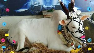  ವಿಸ್ಮಯ: ಸ್ಥಳದಲ್ಲೇ ದೇವಸ್ವರೂಪಿ ಮಂಟೇಸ್ವಾಮಿ ಬಸಪ್ಪನ ಪವಾಡ ಕಂಡು ನಿಬ್ಬೆರಗಾದ ಜನ!