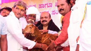 ತವರು ಕ್ಷೇತ್ರದ ಅಭಿವೃದ್ಧಿಗೆ 20 ಕೋಟಿ ವಿಶೇಷ ಅನುದಾನ ನೀಡಿದ ಸಿಎಂ 