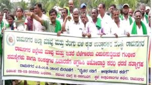 ರಾಮನಗರ; ಶೇಕಡಾ 90 ರಷ್ಟು ಮಾವು ಬೆಳೆ ನಾಶ, ಪರಿಹಾರಕ್ಕೆ ರೈತರ ಮೊರೆ 