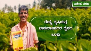 ವಿಶೇಷ ವರದಿ: ರೇಷ್ಮೆ ಕೃಷಿಯತ್ತ ಚಾಮರಾಜನಗರ ರೈತರ ಒಲವು