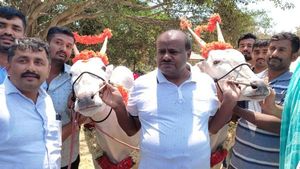ಕುಮಾರಸ್ವಾಮಿಗೆ ಮಂಡ್ಯ ರೈತರಿಂದ ಜೋಡಿ ಎತ್ತುಗಳ ಕಾಣಿಕೆ 