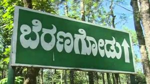 ಈ ಊರಿಗೆ ರಸ್ತೆ ಇಲ್ಲ, ಕಂಕಣ ಭಾಗ್ಯ ಕೂಡಿ ಬರ್ತಿಲ್ಲ! 