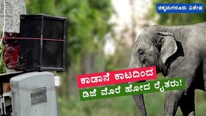  ಆನೆಗಳನ್ನು ಕಾಡಿಗೆ ಓಡಿಸಲು ಡಿಜೆ ಮೊರೆ ಹೋದ ರೈತರು! 