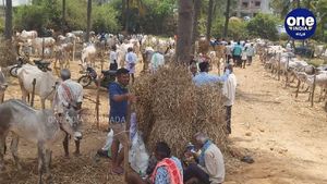  ಕಳೆಗಟ್ಟಿದ 700 ವರ್ಷಗಳ ಇತಿಹಾಸವಿರುವ ಮಾಗಡಿ ದನಗಳ ಜಾತ್ರೆ 