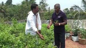 ಟಾರಸಿ ಮೇಲೆ ಅರಳಿತು ಮಲ್ಲಿಗೆ; ಭರ್ಜರಿ ಲಾಭ ಪಡೆದ ಕೃಷಿಕ 